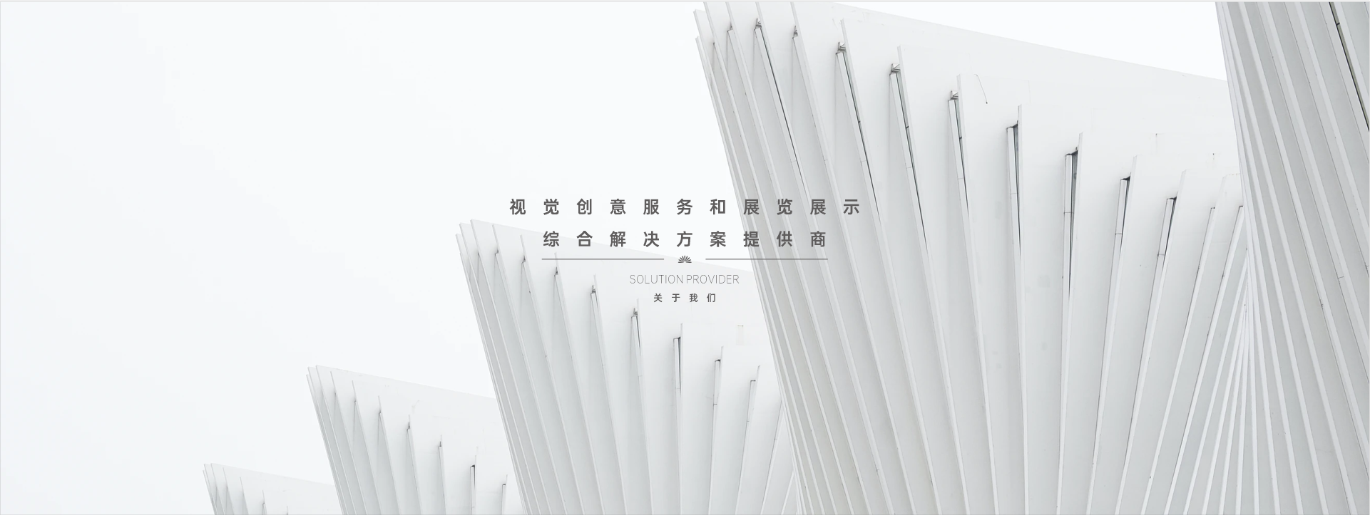 關(guān)于驕陽(yáng)